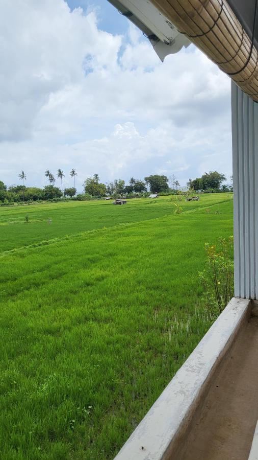 Kartika Villas لوفينا المظهر الخارجي الصورة
